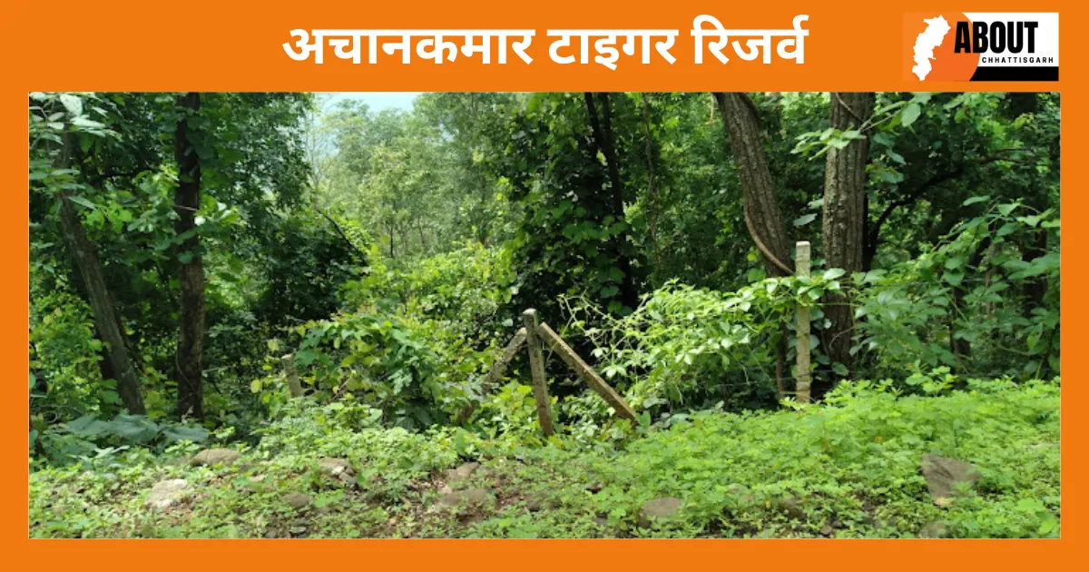 अचानकमार टाइगर रिजर्व